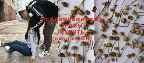 СК Лиски