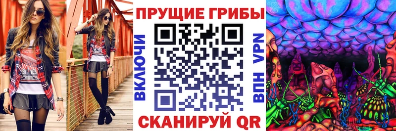 Купить где  Меленки  Галлюциногенные грибы мицелий 